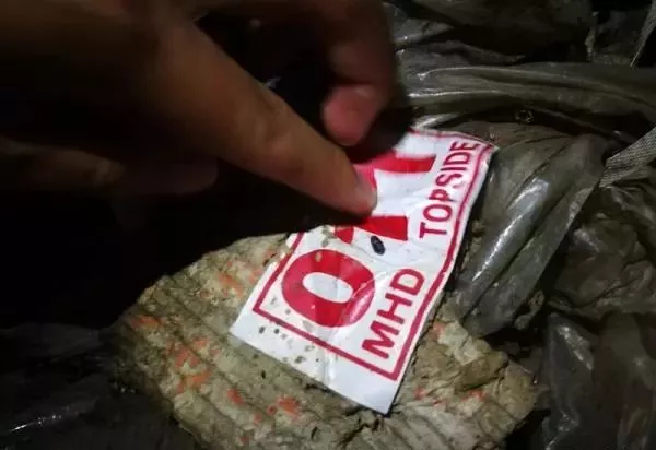 金平私挖走私凍肉事件調(diào)查：挖一斤可賣5元，一過秤就給錢