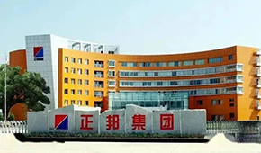 “江西豬王”易主，雙胞胎正式入主正邦