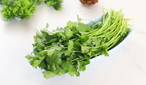 香菜餅、香菜丸、香菜油條、香菜小酥肉…香菜為啥這么“香”？