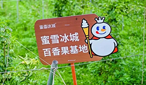 今日上市！覆蓋全球六大洲38個(gè)國(guó)家，“雪王”的采購(gòu)網(wǎng)到底有多牛？