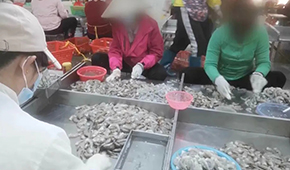 3·15晚會曝光凍蝦仁超量添加保水劑，相關(guān)企業(yè)產(chǎn)品下架